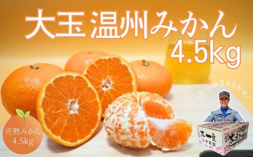 [佐賀県太良産]山本農園『甘熟大玉温州みかん 4.5kg』(10月下旬〜1月下旬出荷予定)