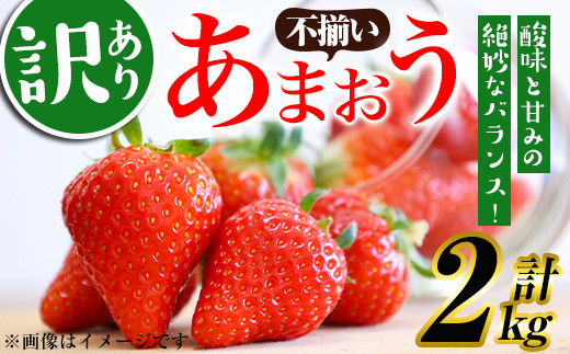 2024年1月より順次発送】農家直送 朝採り新鮮いちご【博多あまおう】約