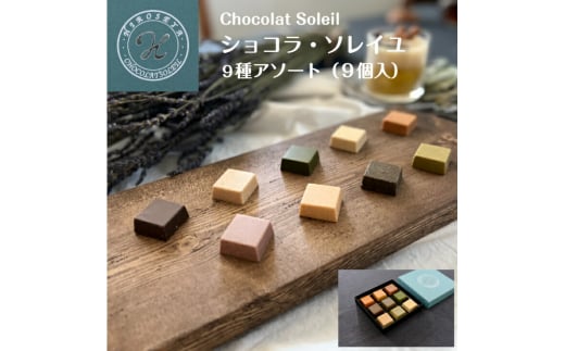 チョコレート 詰め合わせ 5個 × 2箱 【サンドール】 スイーツ