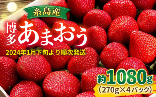 農家直送 朝採り新鮮いちご【博多あまおう】約270g×4パック 糸島市 / エイチアンドフューチャーズ [APN002]