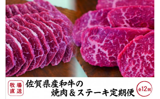 [定期便セット]全12回 佐賀県産和牛の焼肉&ステーキセット / 焼肉用赤身600g、ステーキ用赤身600g TOMMY BEEF