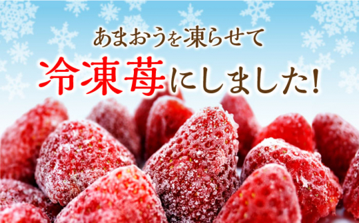 博多 冷凍 あまおう 約500g×4袋 合計約2kg 糸島市 / エイチアンドフューチャーズ [APN003] 2キロ いちご