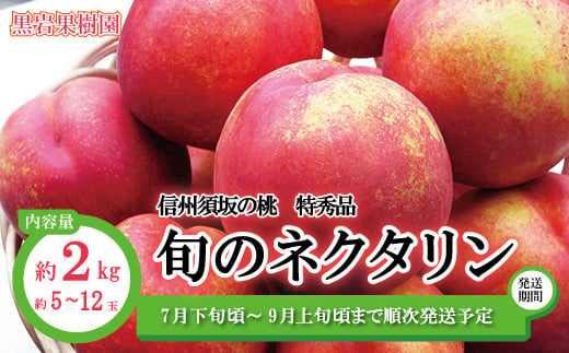 [No.5657-3881]信州須坂の桃 旬のネクタリン 特秀品 約2kg(約5～12玉) 《黒岩果樹園》■2024年発送■※7月下旬頃～9月上旬頃まで順次発送予定