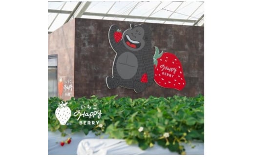 愛知県東郷町いちご農園いちごHappyBerryの冷凍いちご〈訳あり)【1470510】 1173366 - 愛知県東郷町