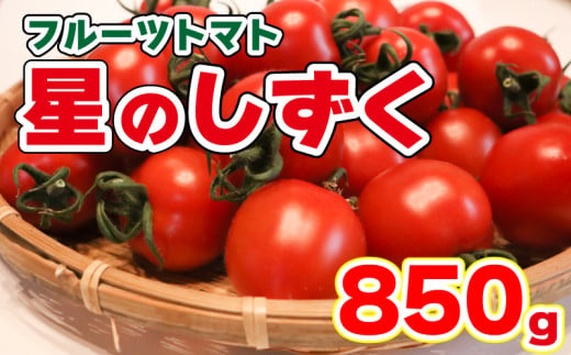フルーツトマト 850g 野菜 トマト 星のしずく 完熟 高濃度 糖度8以上 高級 スイーツ ギフト 贈答用  人気急上昇 徳島県 阿波市 原田トマト