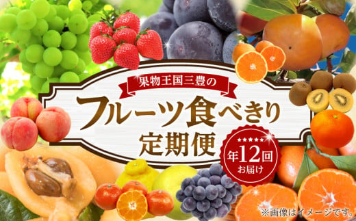 M02-0204_フルーツ食べきり定期便年12回 1202688 - 香川県三豊市