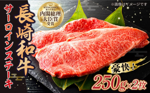 【A4～A5等級】長崎和牛 サーロイン ステーキ 約250g×2枚 肉 牛肉 国産牛 長崎市/三ツ輪商事 [LKB001] 796434 - 長崎県長崎市