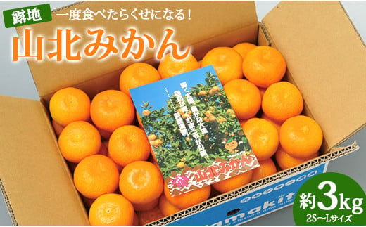 写真：(2024年1月より順次発送) 高知県産 山北みかん 約3kg（露地栽培 2S～Lサイズ）- 送料無料 果物 フルーツ 温州みかん ミカン 蜜柑 柑橘 甘い おいしい お取り寄せ ku-0019