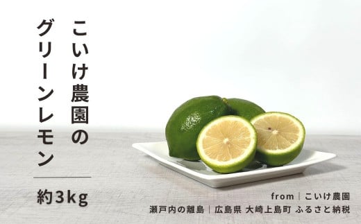 [9〜11月発送] こいけ農園のグリーンレモン 約3kg 469432 - 広島県大崎上島町
