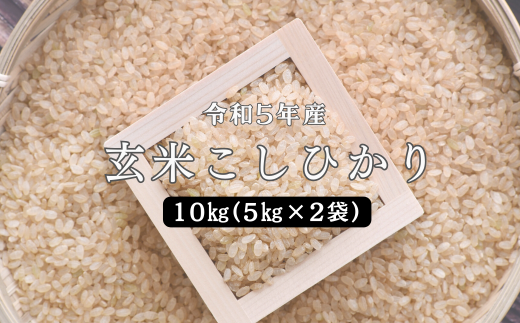 150253【令和5年産】しまね川本 玄米こしひかり 10kg(5kg×2)