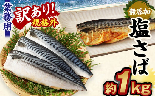 【訳あり規格外】 業務用 無添加 塩さば 1kg 鯖 さば 塩サバ 干物 魚 974028 - 茨城県神栖市