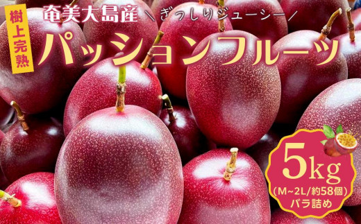 先行受付】奄美大島 パッションフルーツ 5kg（M～2L/約58個）バラ