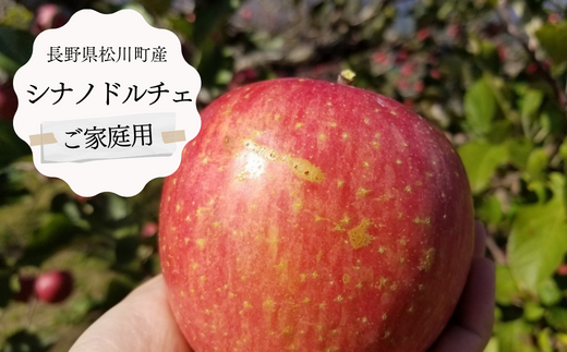 りんご農家直送！松川町産シナノドルチェ 家庭用