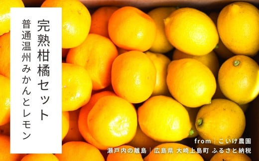 大崎上島産 完熟柑橘セット 普通温州みかん/レモン 約4kg
