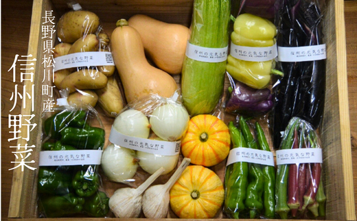 金田農園自慢の元気な野菜です！野菜の種類はおまかせとなります。