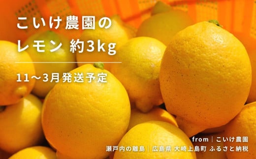 ｜予約｜11〜3月発送 こいけ農園のレモン 約3kg