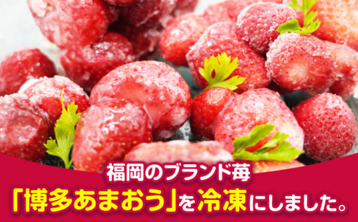 あかい・まるい・おおきい・うまい「博多あまおう」の冷凍いちご 計2kg