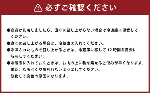 ごちそう九州牛 ハンバーグのジュー 5個入り