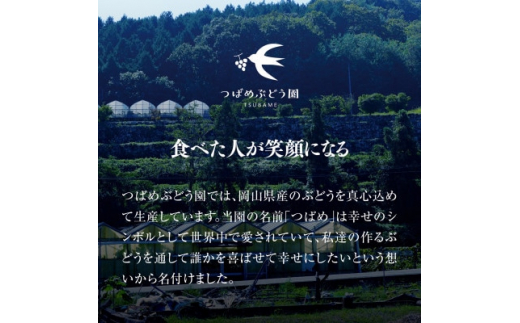 ＜先行受付/訳あり＞初なりシャインマスカット 2房～3房 1kg以上(岡山県産)【1469302】