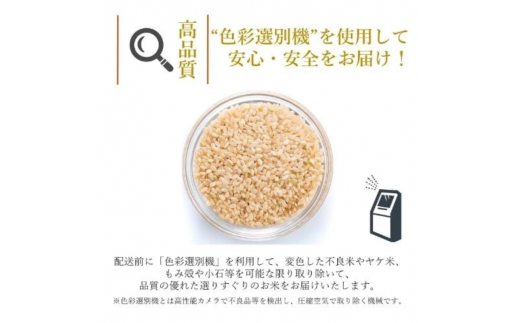 令和5年産 新米】ひとめぼれ 玄米 30kg 秋田県 能代市産 ＜食味値82点