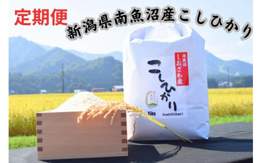 ふるさと納税 津南町 【令和5年産】新潟県魚沼産コシヒカリ 12kg(4kg×3 ...