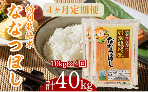 『特別栽培米ななつぼし5kg×2』定期便！毎月1回・計4回お届け 868827 - 北海道奈井江町