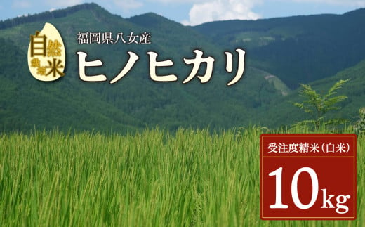 【2024年11月発送開始】＜令和6年度新米＞自然栽培米ヒノヒカリ１０kg																												 1176631 - 福岡県八女市