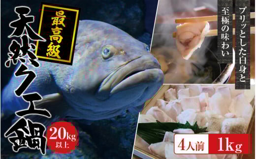 【冷凍】天然 最高級クエ 20kg 以上  クエ鍋セット 4人前(250g×4) 【2025年11月下旬から2026年2月下旬までに順次発送致します。】 / 高級 海鮮 お魚 魚  くえ鍋 クエ鍋 くえ くえ天然 冷凍 海産物【tkw012-2】 2206652 - 和歌山県新宮市
