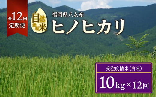 【2025年11月発送開始】＜令和7年度新米＞【定期便12か月】自然栽培米ヒノヒカリ１０kg