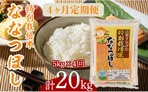『特別栽培米ななつぼし5kg』定期便！毎月1回・計4回お届け 868828 - 北海道奈井江町