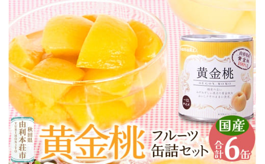 Sanuki フルーツ缶詰 黄金桃 6缶セット 223817 - 秋田県由利本荘市