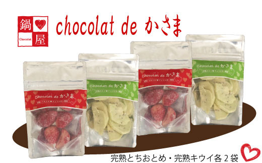 Chocolat de かさま おかしな果実ショコラ 完熟とちおとめ・キウイセット