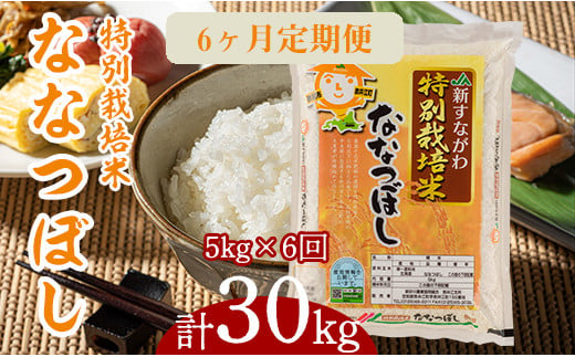 『特別栽培米ななつぼし5kg』定期便！毎月1回・計6回お届け 868830 - 北海道奈井江町