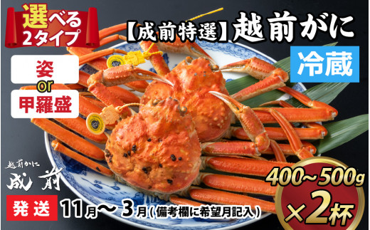 美味しさ直送！【成前特選】 越前がに（400g～500g）×2杯【11月～3月