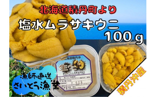 積丹町美国沖産 塩水生ウニ 無添加 - 魚介類(加工食品)