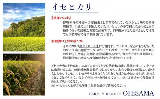 令和5年産　イセヒカリ　10kg（5kg×2）　白米　栽培期間中農薬不使用　あいがも農法米
