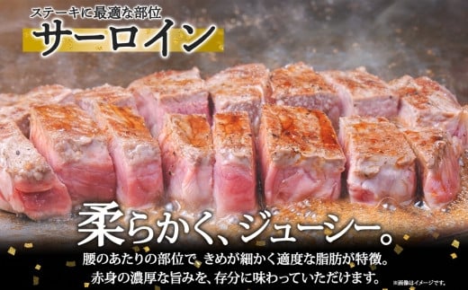 肉質の良い、柔らかな赤身肉が味わえます。