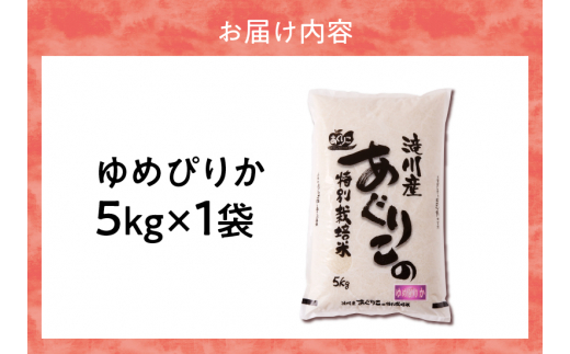 入金確認後、最短7日発送】北海道滝川産 特別栽培ゆめぴりか 5kg ※10月