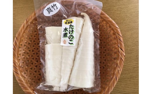 佐渡産 孟宗竹 たけのこ3本-