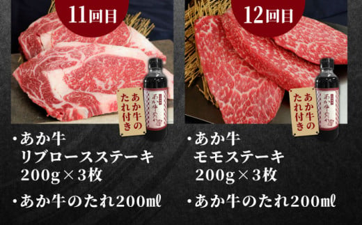 熊本県産 あか牛 ステーキ 12種 極上 食べ比べ 計6.09kg