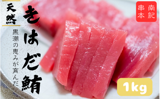 和歌山県産 天然 キハダマグロ 約1kg / まぐろ 鮪 キハダマグロ 海鮮 魚貝 魚　 1178169 - 和歌山県串本町