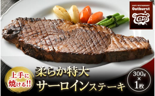 那須町のお肉特集｜ふるさとチョイス - ふるさと納税サイト