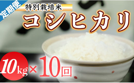 令和５年産 (精白米)　特別栽培米　こしひかり10kg ×10袋 790012 - 高知県三原村