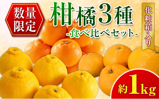 数量限定 柑橘 3種 食べ比べ セット 約1kg 化粧箱入り フルーツ 果物