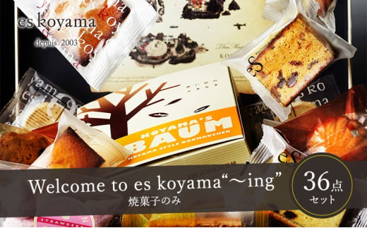 Welcome to es koyama“～ing” 【焼き菓子のみ】 [№5337-0169] 1180305 - 兵庫県三田市