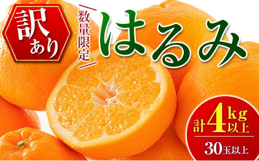 訳あり 数量限定 はるみ 計4kg以上 フルーツ 果物 柑橘 みかん 国産 弓削ファーム 食品 デザート 送料無料_D78-23