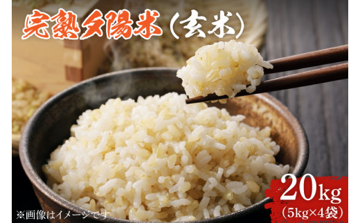 CP016 完熟夕陽米（玄米）20kg（5kg×4） ひとめぼれ 特別栽培米｜ふるラボ