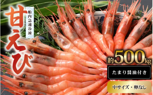 新鮮美味！甘エビ（船凍甘エビ 中サイズ）約500g おいしいたまり醤油付【 えび エビ 海老 甘えび 海鮮 お造り 刺身 おせち 海鮮丼 生食 急速冷凍 福井 】[m21-a038] 1590250 - 福井県美浜町