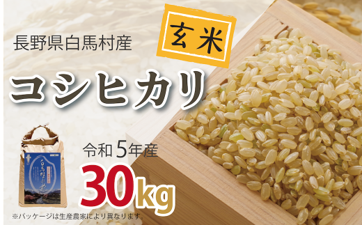 食品コシヒカリ　玄米30kg　【訳あり】