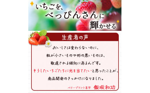 べっぴんさんいちごのベリーベリーチーズケーキ6個セット プレゼントにおすすめ 化粧箱入り いちご 和泉市産いちご ブルーベリー チーズケーキ  スイーツ（IS003-SJ）